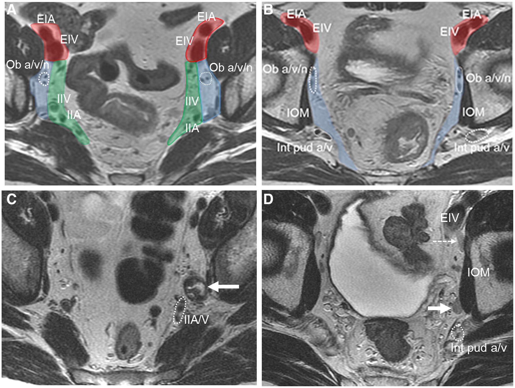 FIGURE 2.