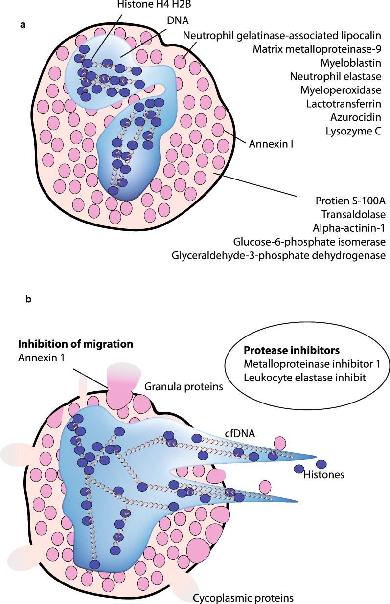 Fig. 4