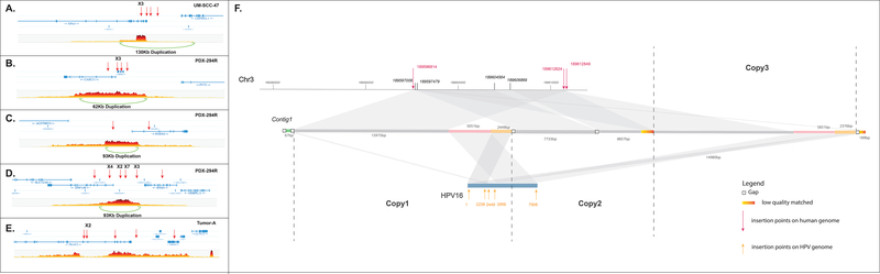 Figure 4: