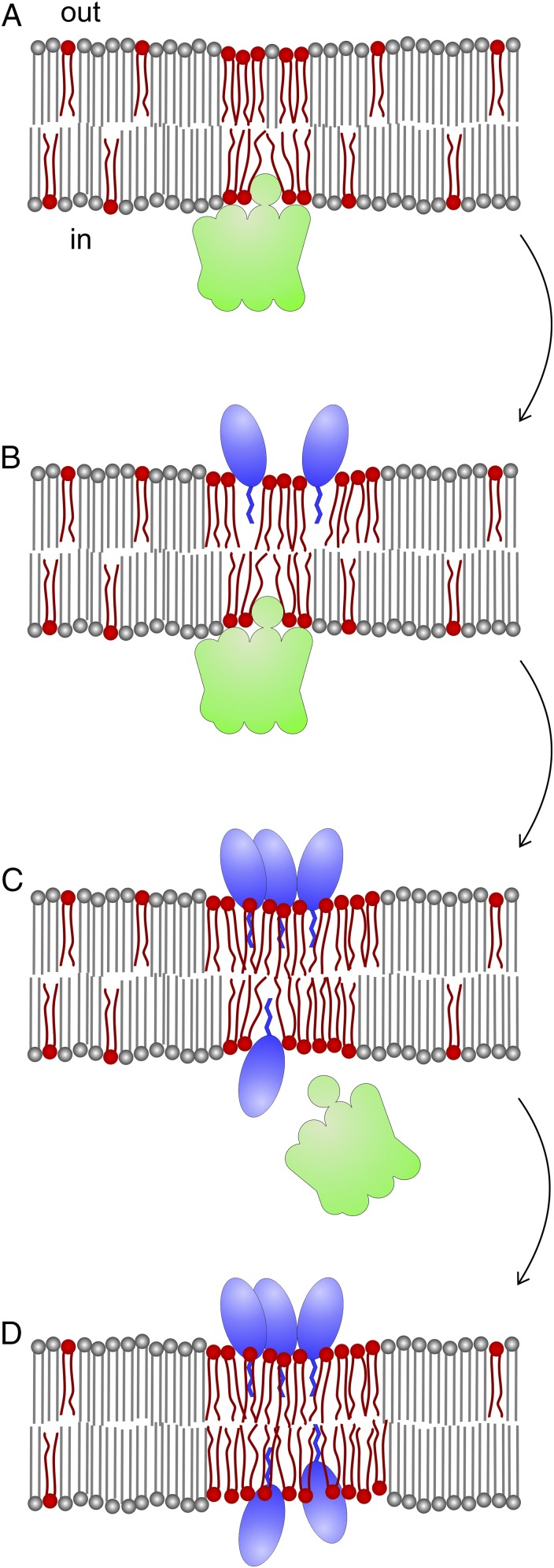 Fig. 7.