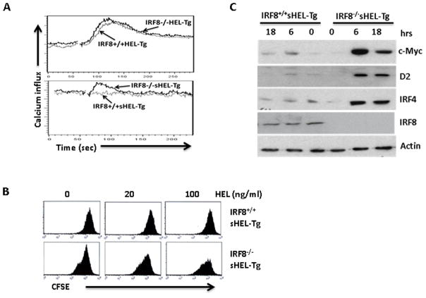 Fig 4