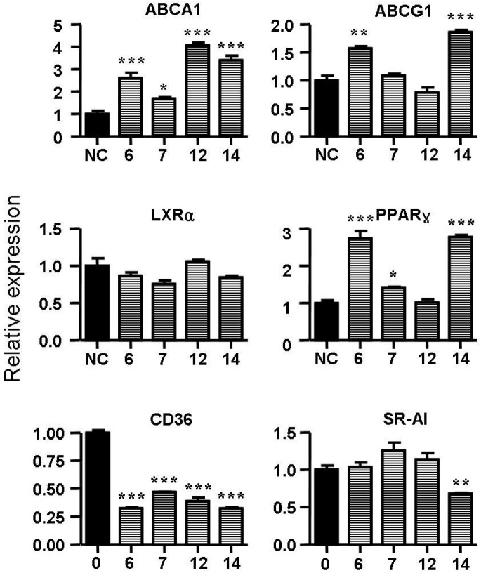 Figure 6