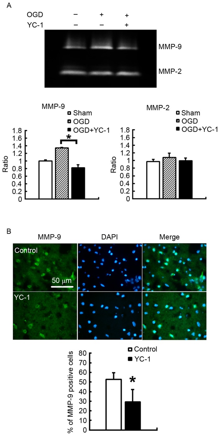 Figure 3.