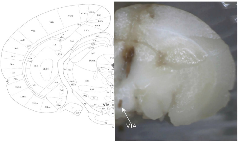 Figure 12.