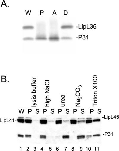 FIG. 8.