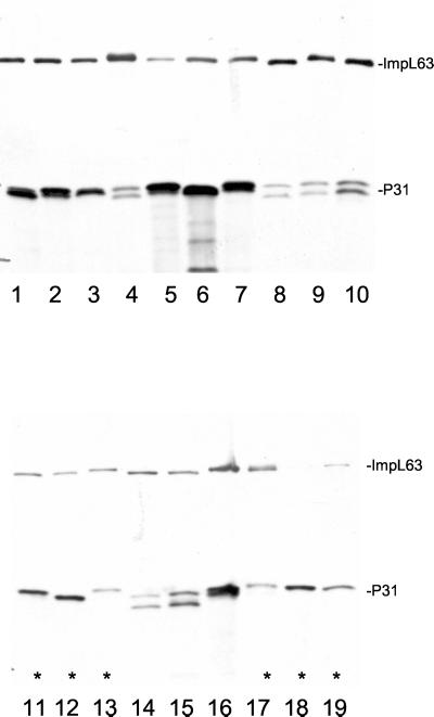 FIG. 5.