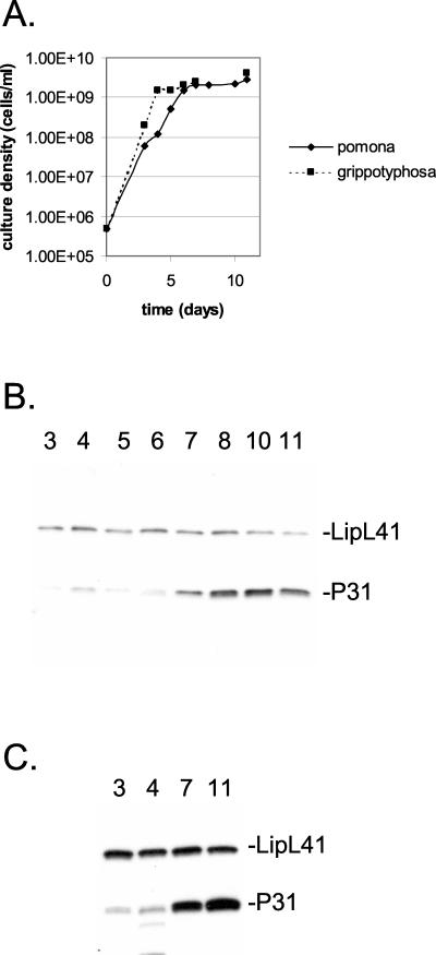 FIG. 9.