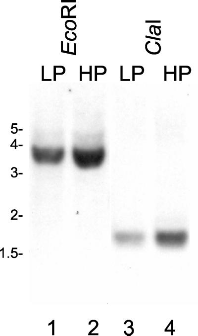 FIG. 7.