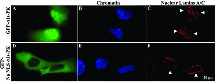 FIG. 7.