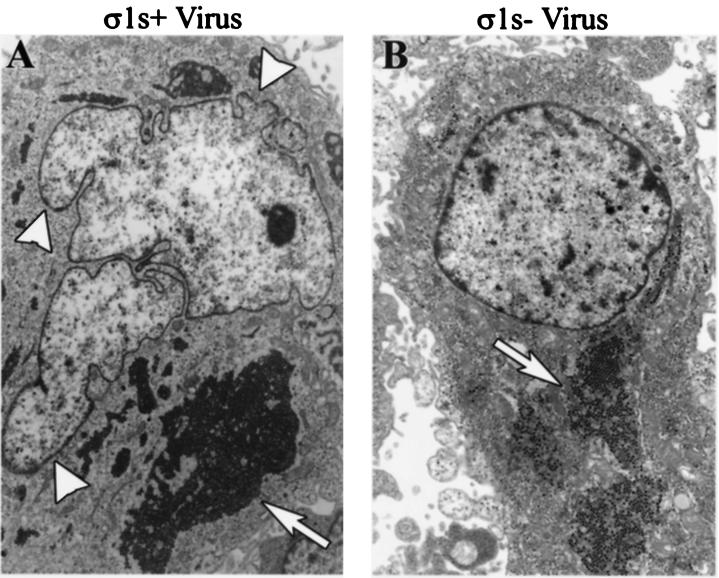 FIG. 5.