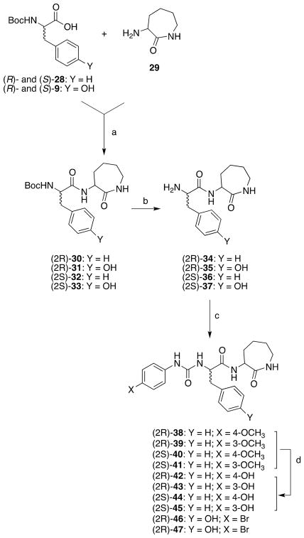 Scheme 2