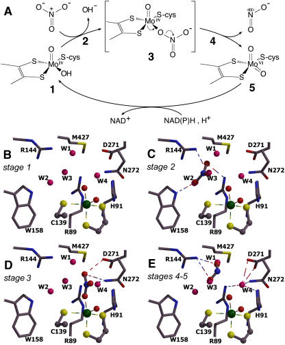 Figure 6.