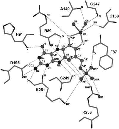 Figure 3.