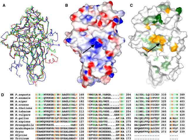 Figure 4.