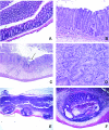 FIG. 6.
