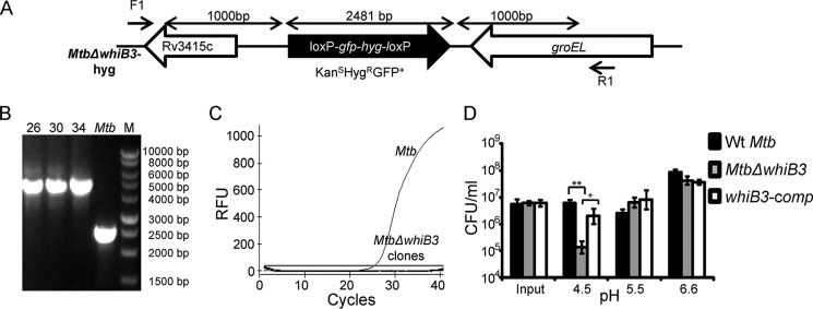 FIGURE 1.