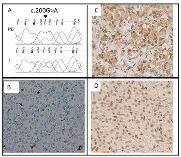 Figure 2: