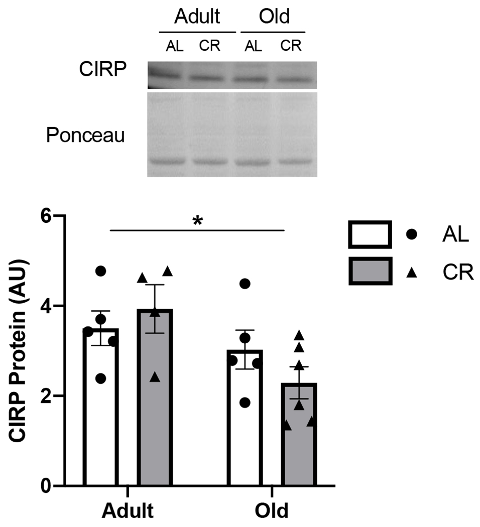 Figure 5.