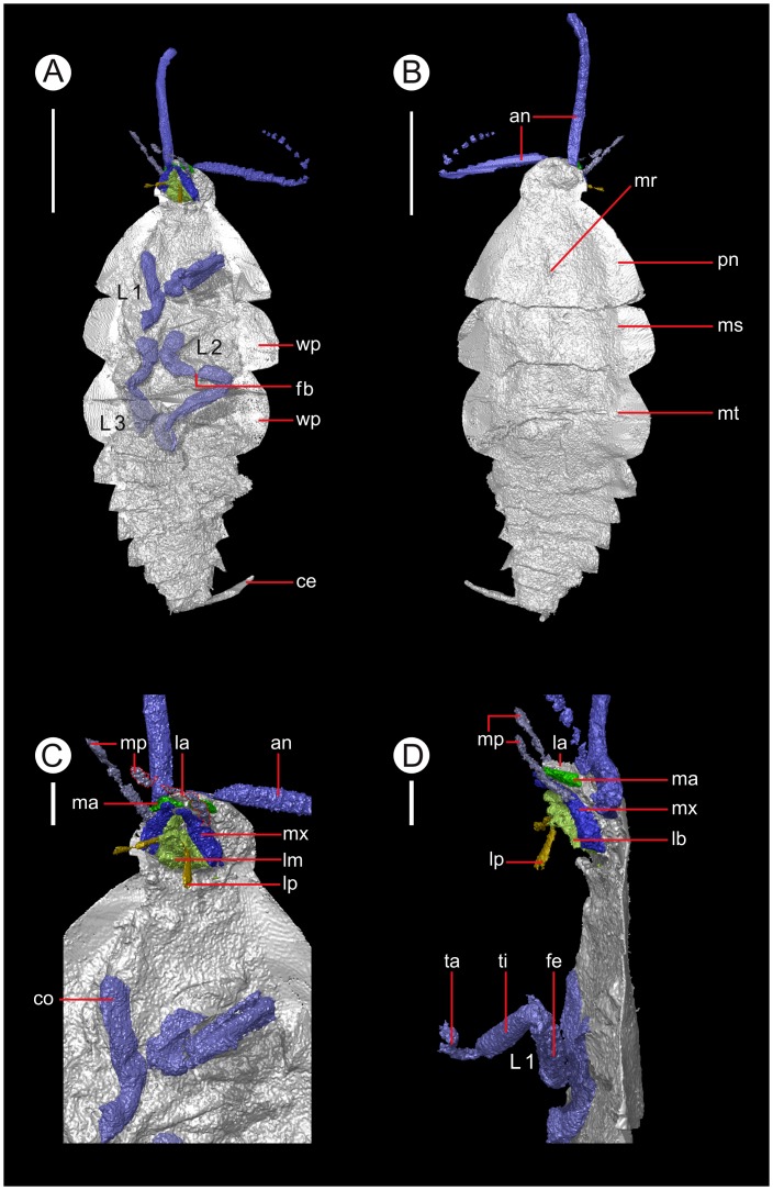 Figure 2