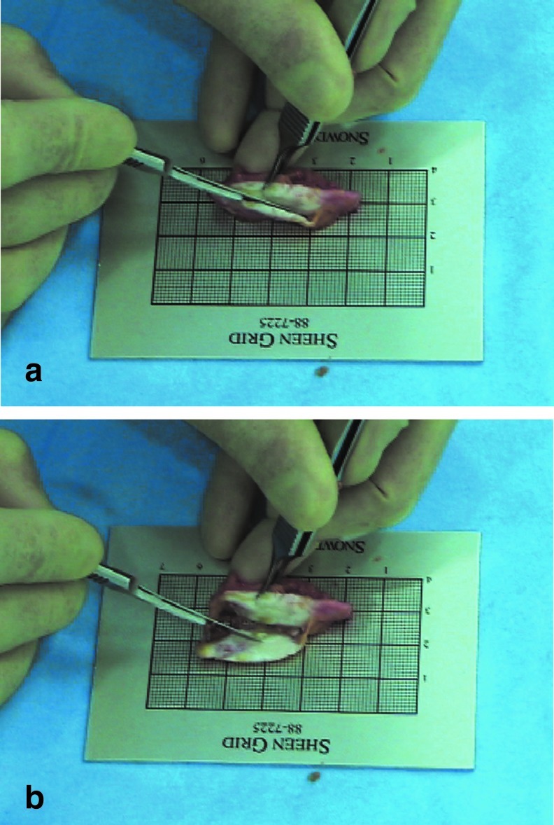 FIG. 5.