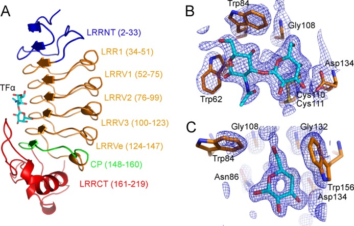 FIGURE 3.