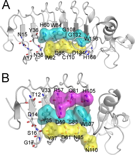 FIGURE 5.