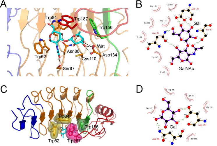 FIGURE 4.