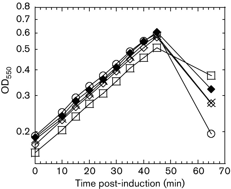 Fig. 5.