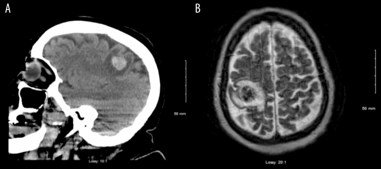 Figure 1.