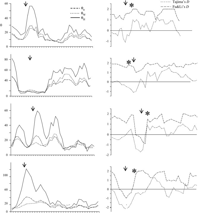 Figure 4.—