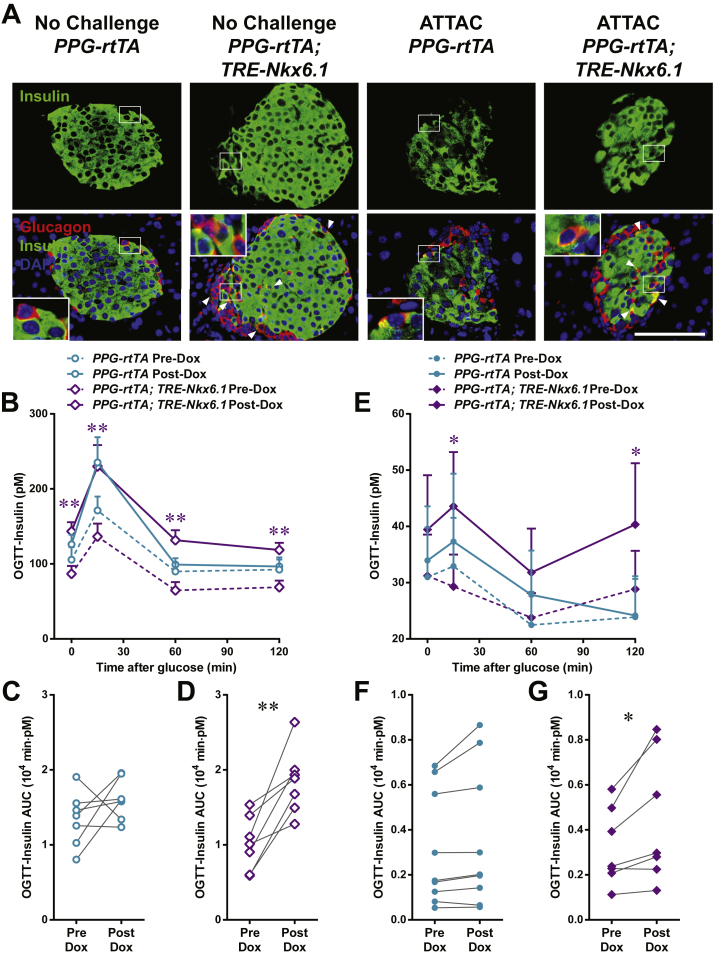 Figure 6