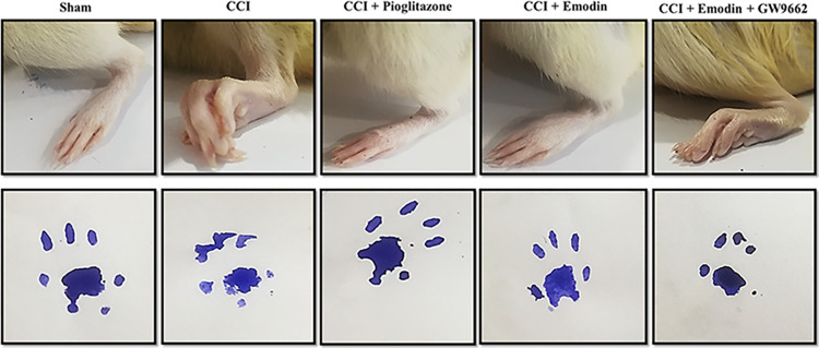 Fig 4