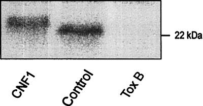 FIG. 6