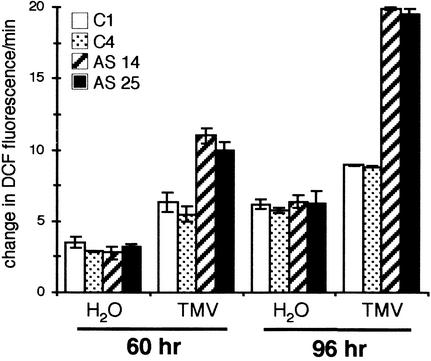 Figure 9.