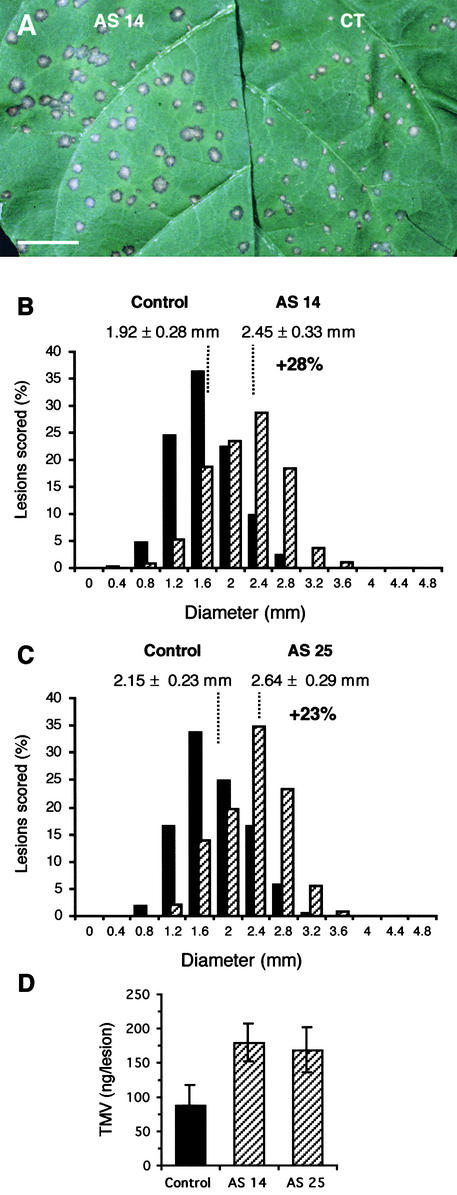 Figure 7.