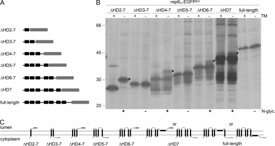 FIG. 6.