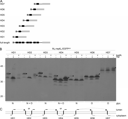 FIG. 7.