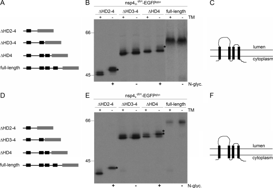 FIG. 8.