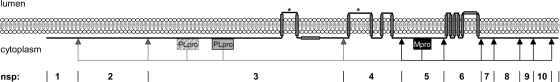 FIG. 9.