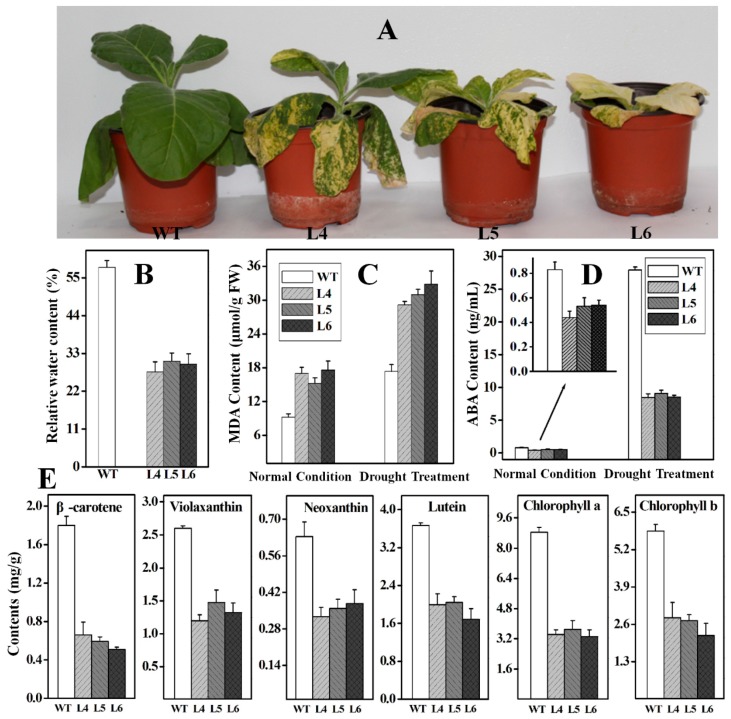 Figure 10