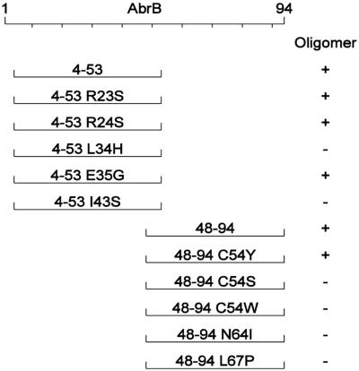 FIG. 5.