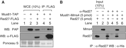 Figure 5.