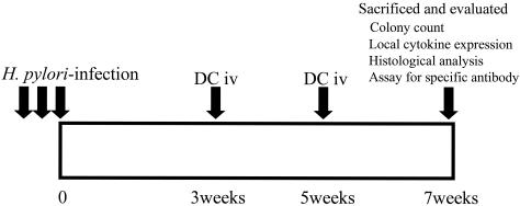 FIG. 1.