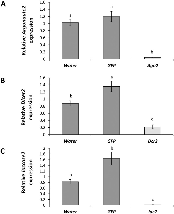 Fig 4