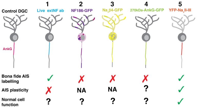 Figure 9