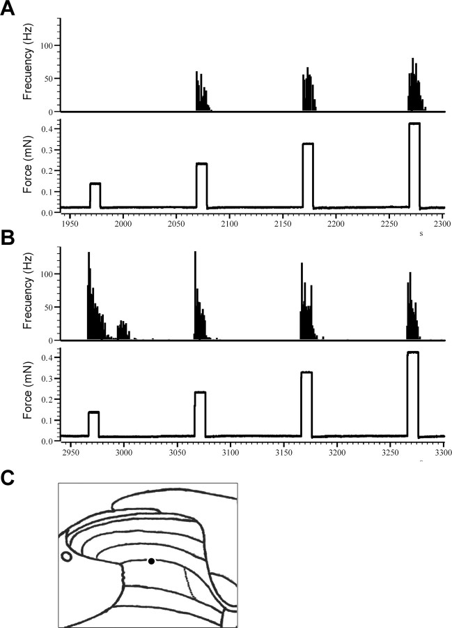 Figure 10.