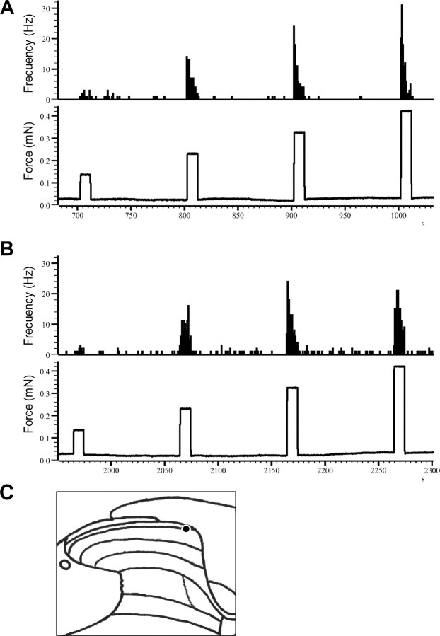 Figure 6.