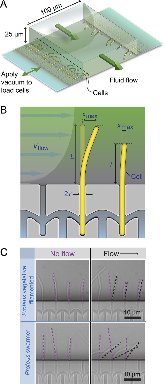 FIG 2