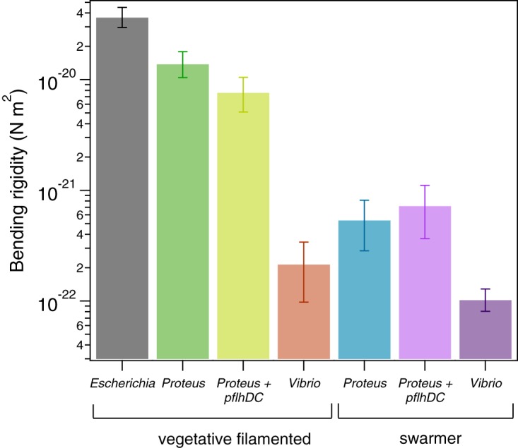 FIG 3