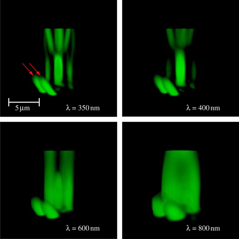 Figure 3.